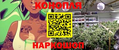 дурь Будённовск